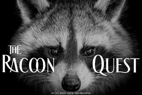 The Racoon Quest